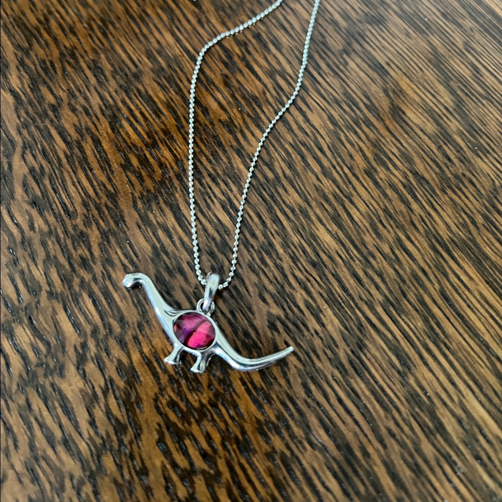 Dinosaur Necklace 16$